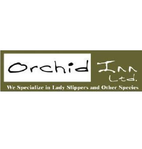 Orchid Inn