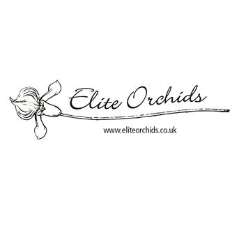 Elite Orchids