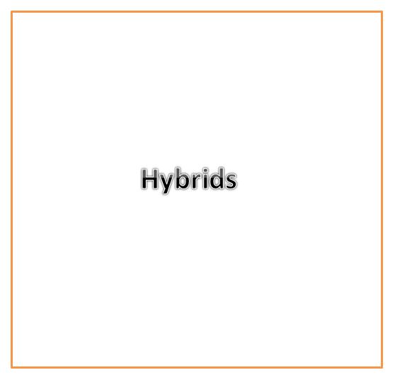 Hybrid