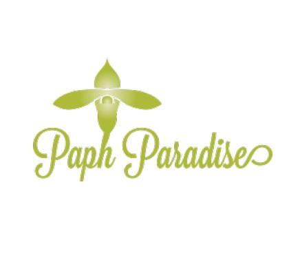 Paph Paradise