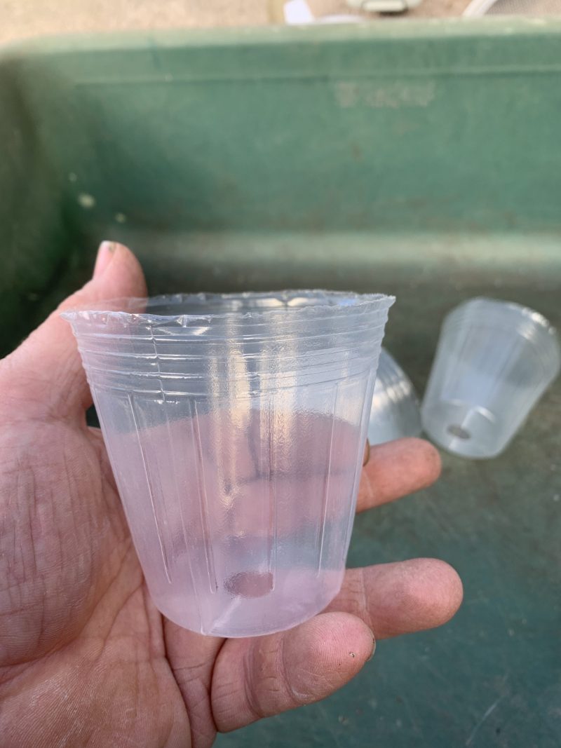 Plastic Polypropylene “Squishy" 8cm pot Medium - 10 pots 　　　
