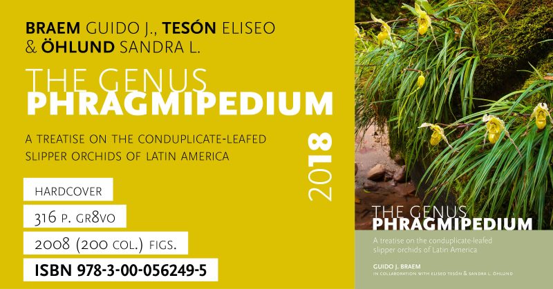 The Genus Phragmipedium 2018 - Guido Braem