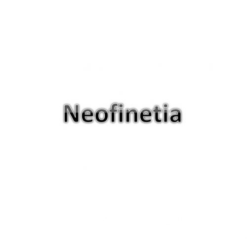 Neofinetias