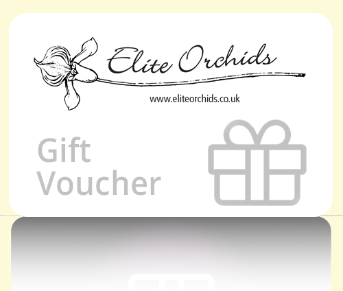 Elite Orchids Gift Card