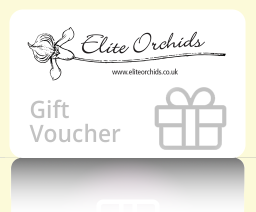 Elite Orchids Gift Card
