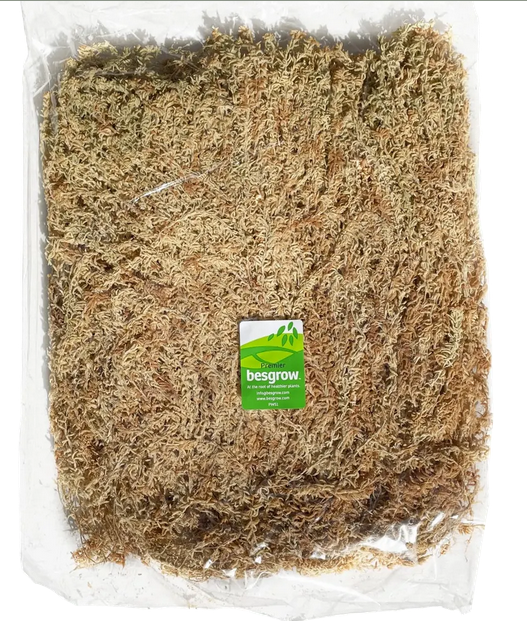 SPHAGNUM MOSS - High Quality Moss - Best for Orchids and Pet