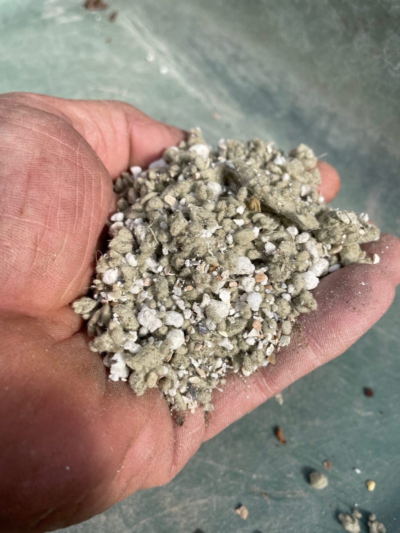 READY TO USE - Grodan granulate - as used with our Phragmipediums in the nursery.